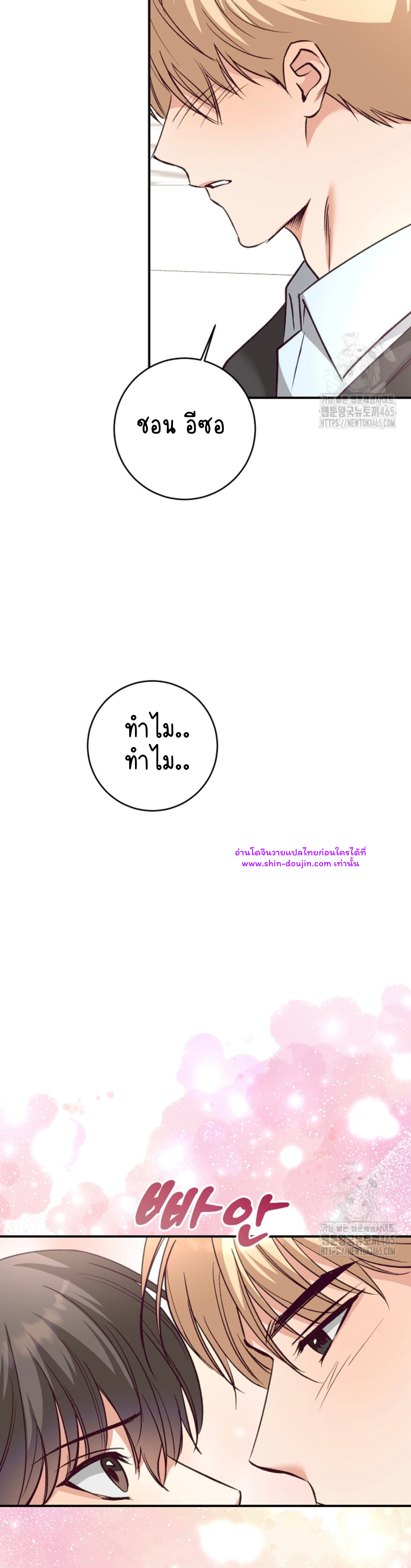 Dandelion Flower Observation Diary EP 13